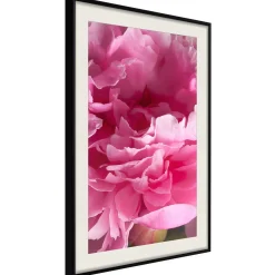 Poster 'Beautiful Peonies'