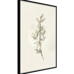Poster 'Beige Campanula'