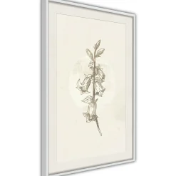 Poster 'Beige Campanula'