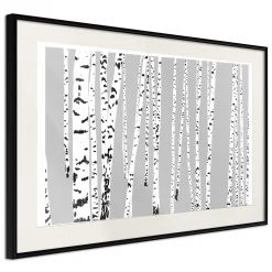 Poster 'Birch Wood'