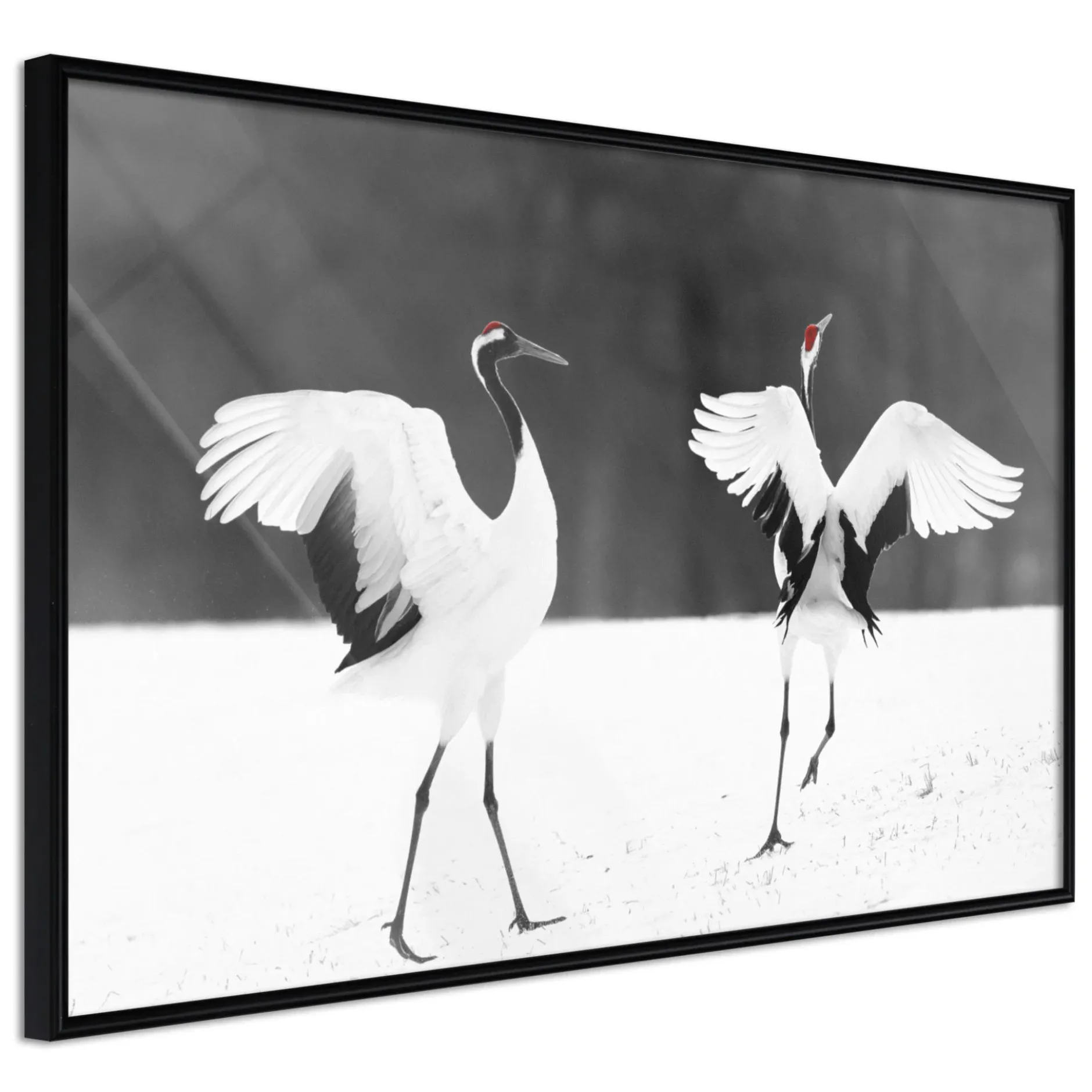 Poster 'Bird Date'