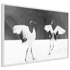 Poster 'Bird Date'