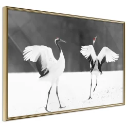 Poster 'Bird Date'