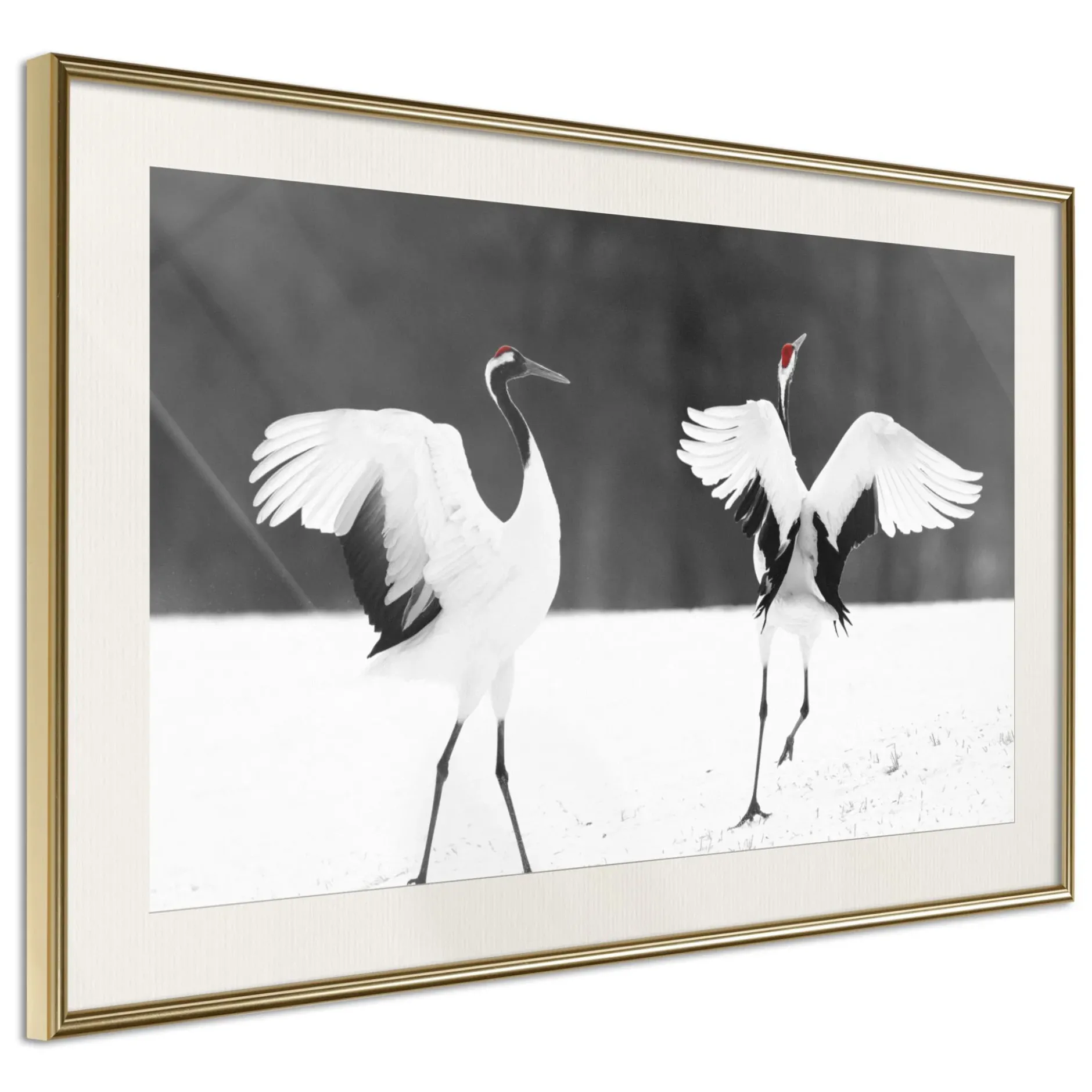 Poster 'Bird Date'