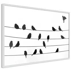 Poster 'Birds Council Meeting'