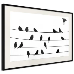 Poster 'Birds Council Meeting'
