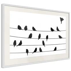 Poster 'Birds Council Meeting'