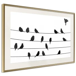Poster 'Birds Council Meeting'