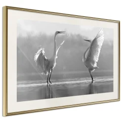 Poster 'Black and White Herons'