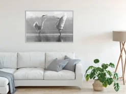 Poster 'Black and White Herons'