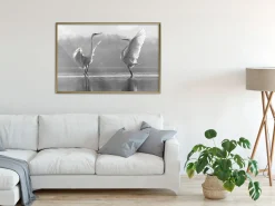 Poster 'Black and White Herons'
