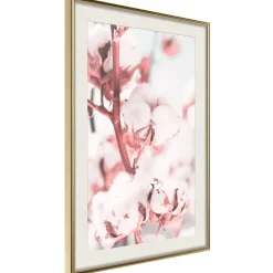 Poster 'Blooming Cotton'