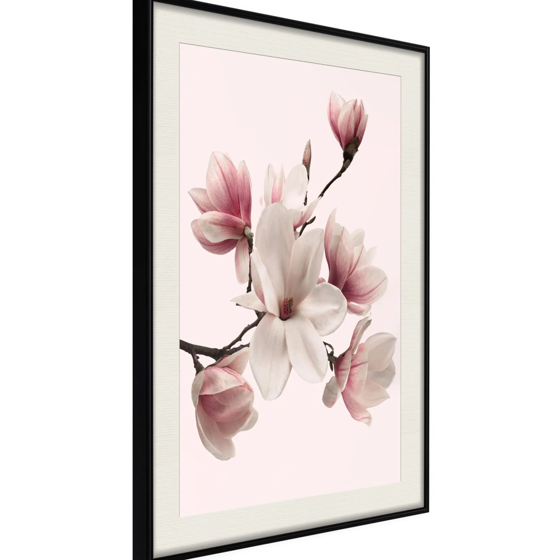 Poster 'Blooming Magnolias I'