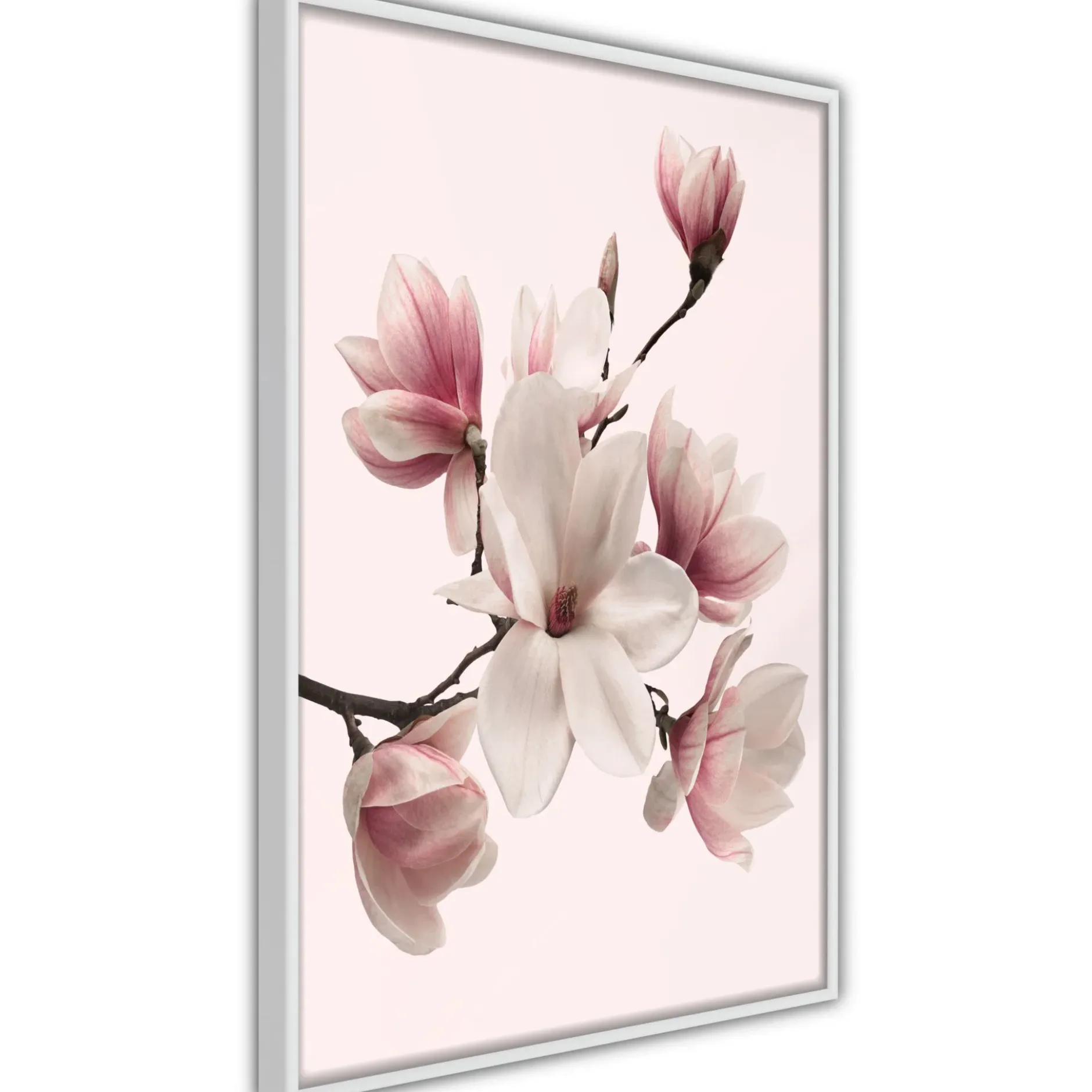 Poster 'Blooming Magnolias I'