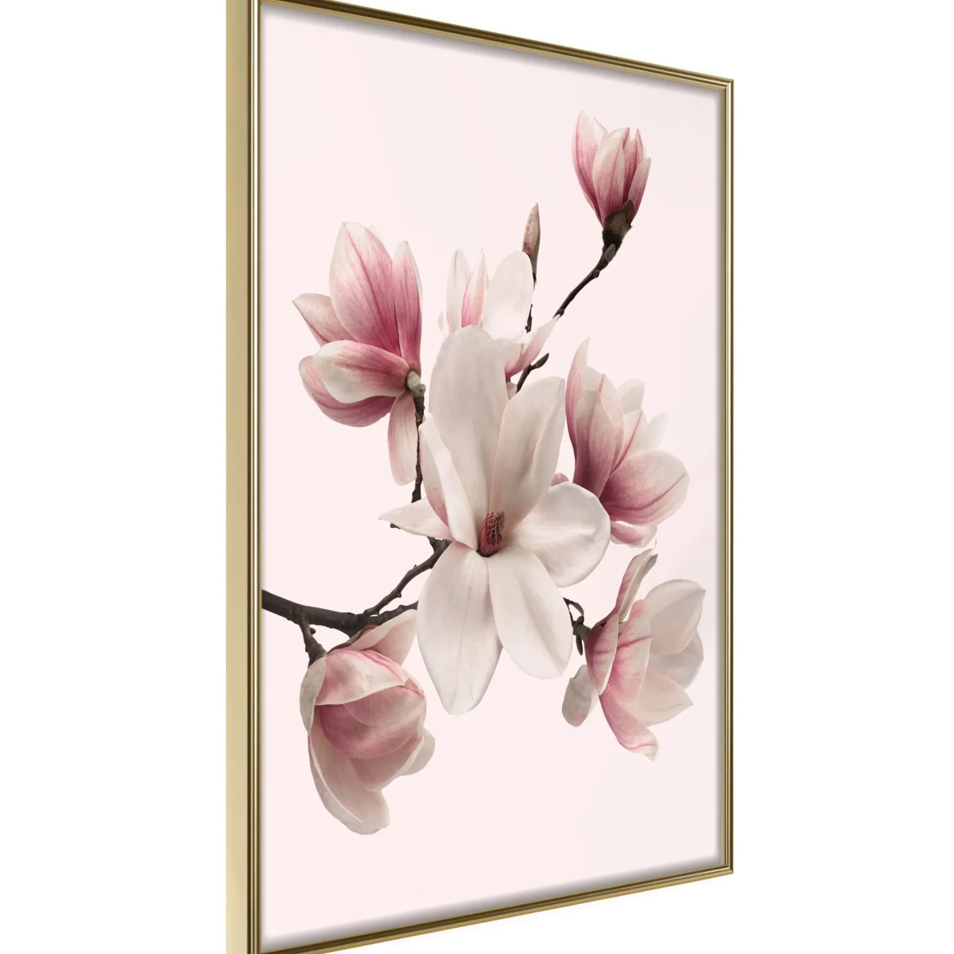 Poster 'Blooming Magnolias I'