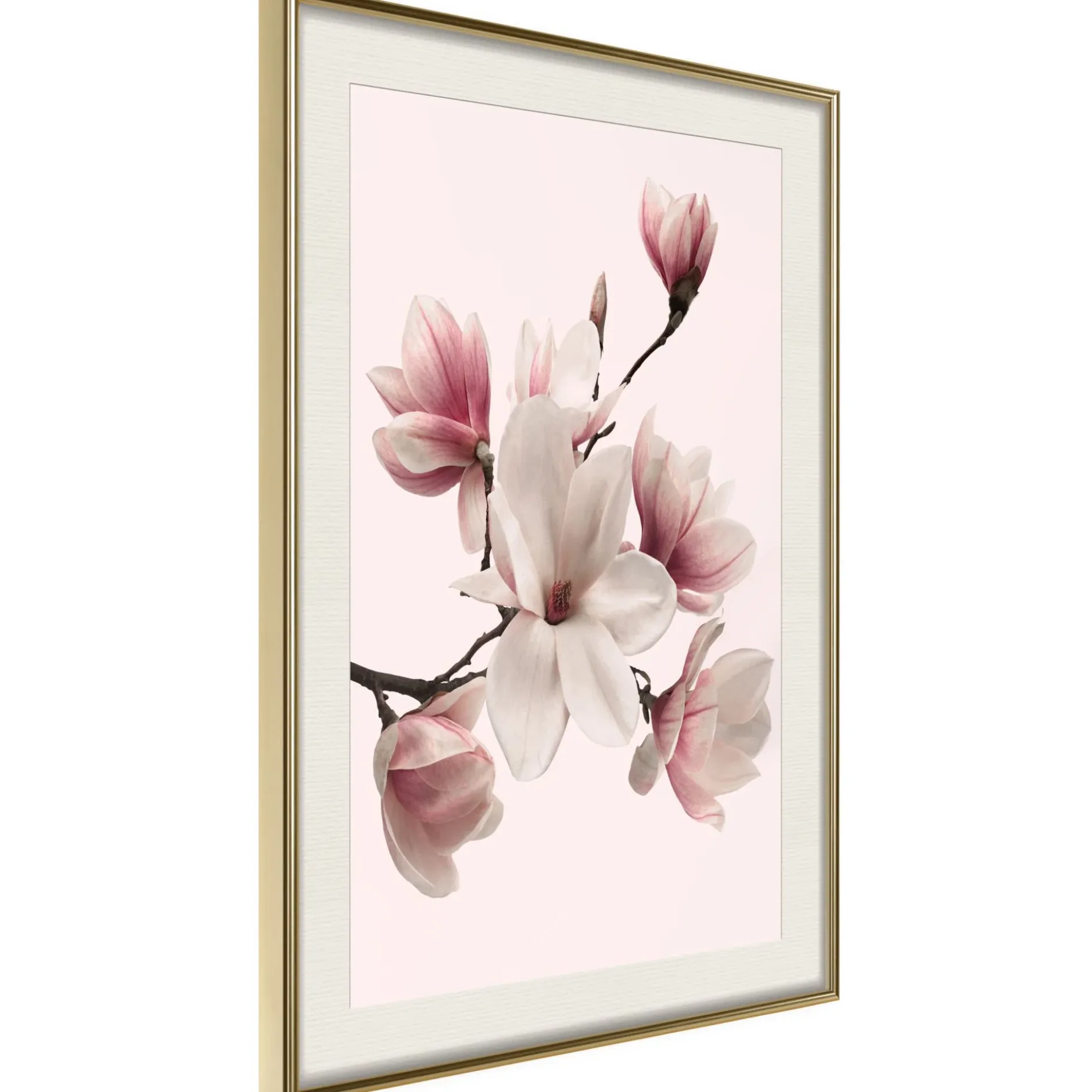 Poster 'Blooming Magnolias I'
