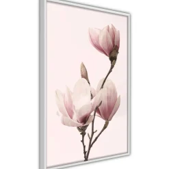 Poster 'Blooming Magnolias III'