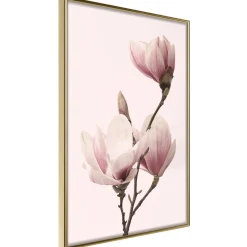 Poster 'Blooming Magnolias III'