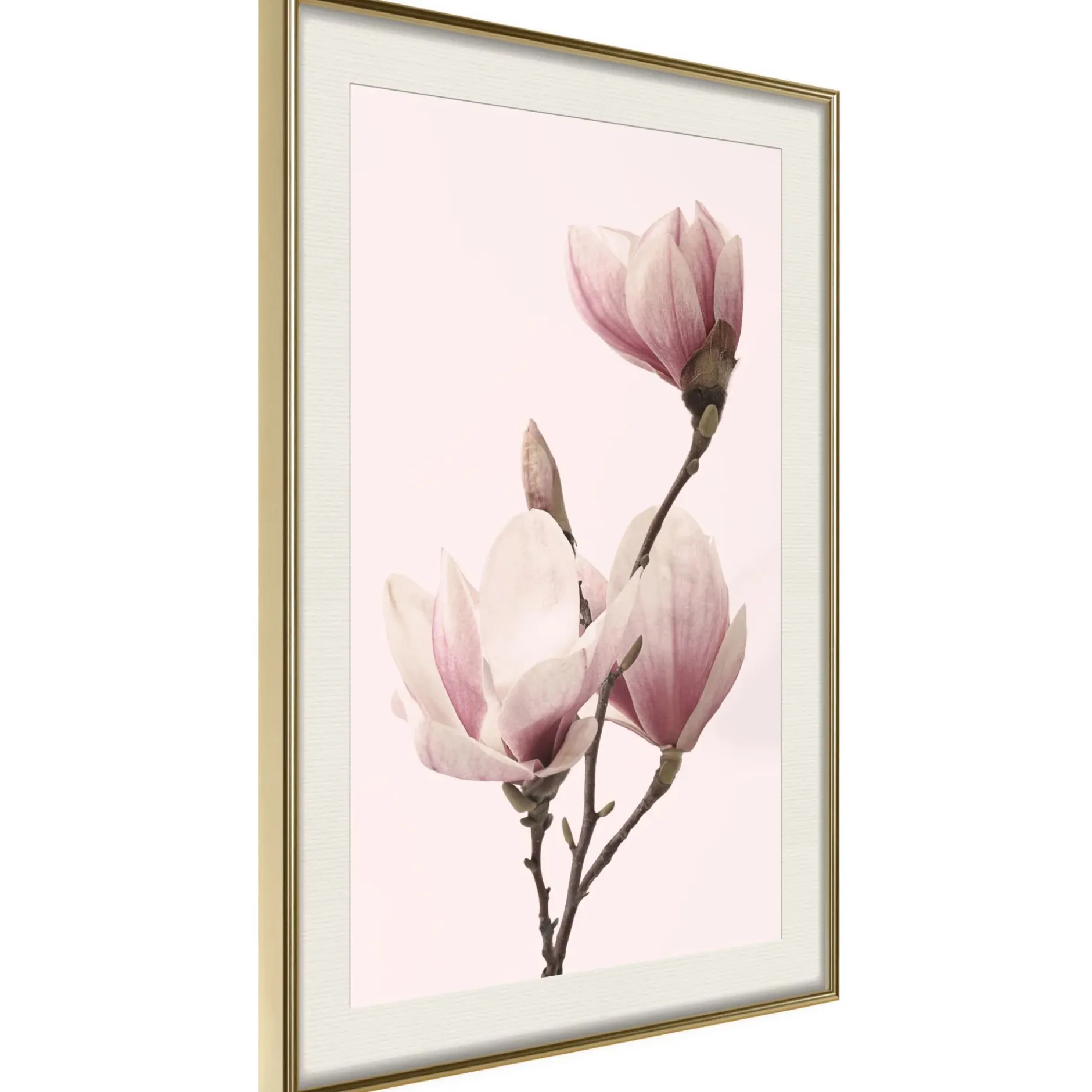 Poster 'Blooming Magnolias III'