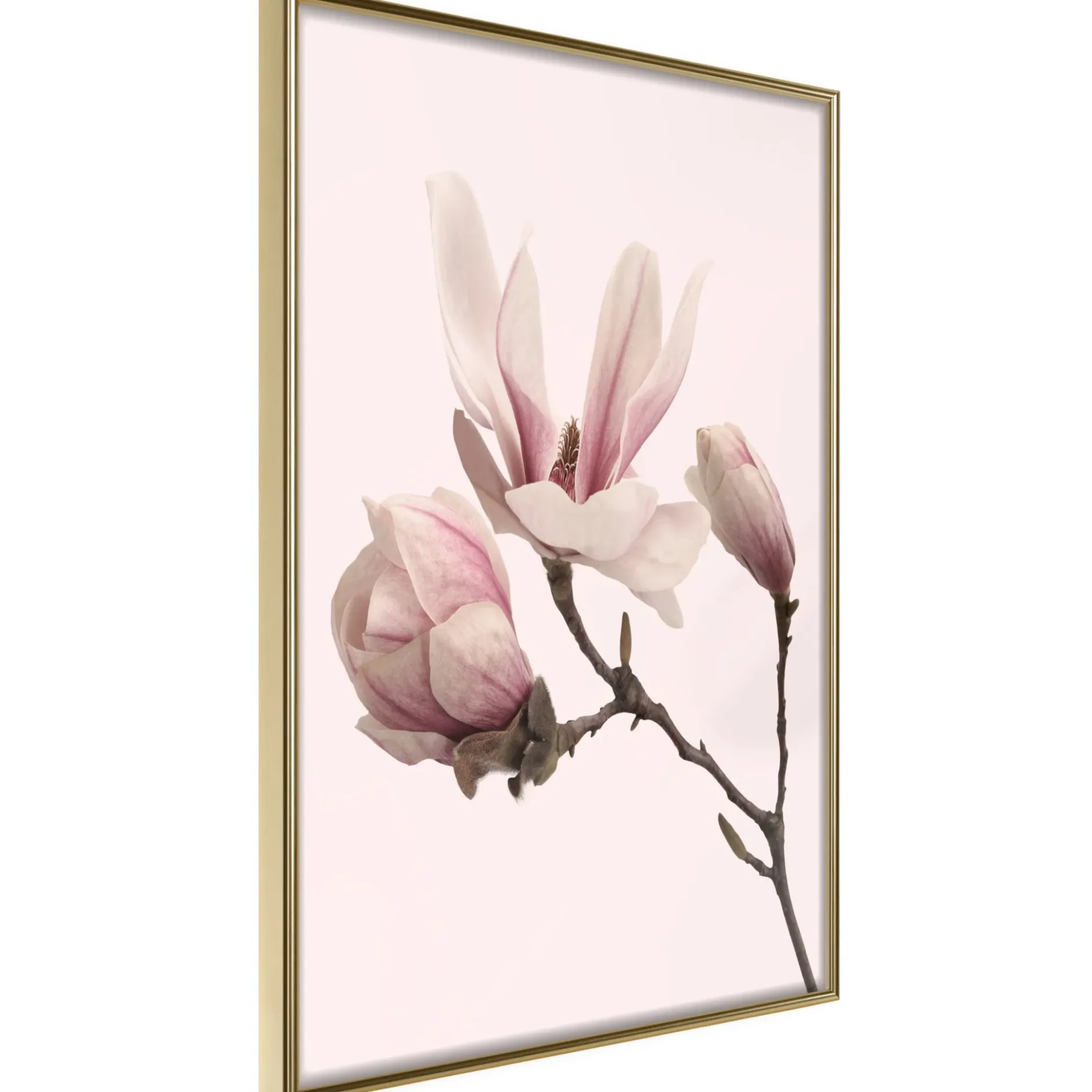 Poster 'Blooming Magnolias II'