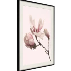 Poster 'Blooming Magnolias II'