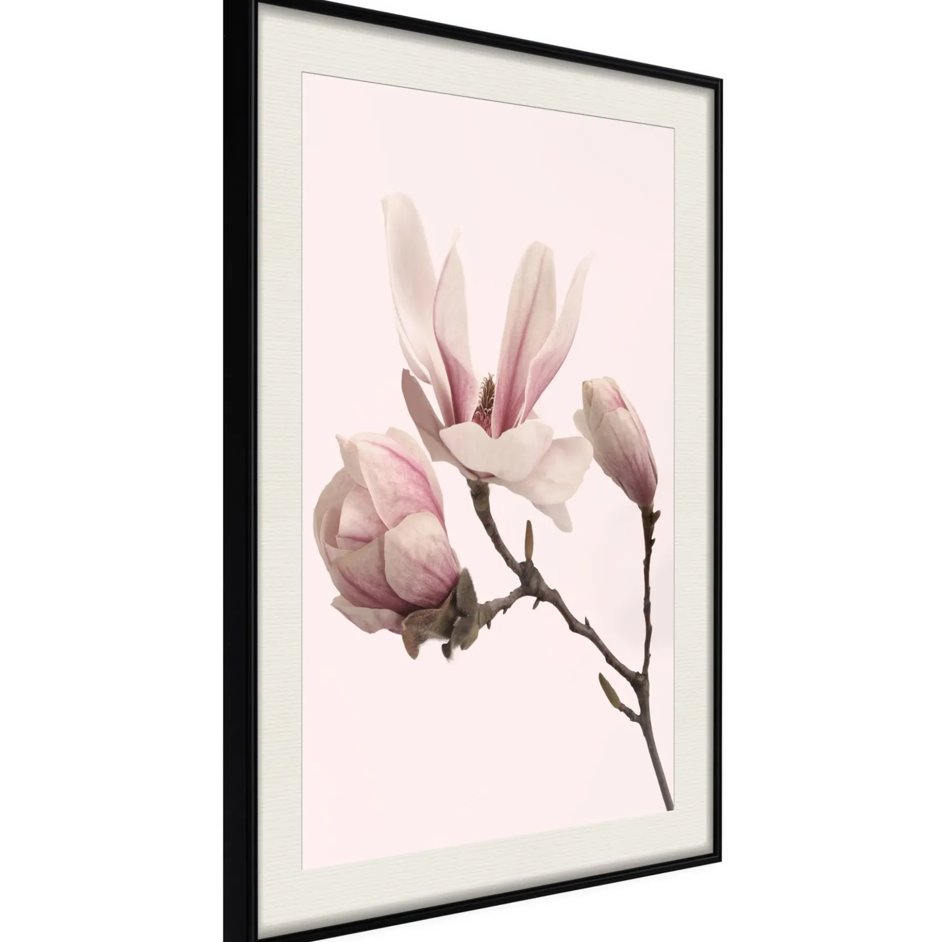 Poster 'Blooming Magnolias II'