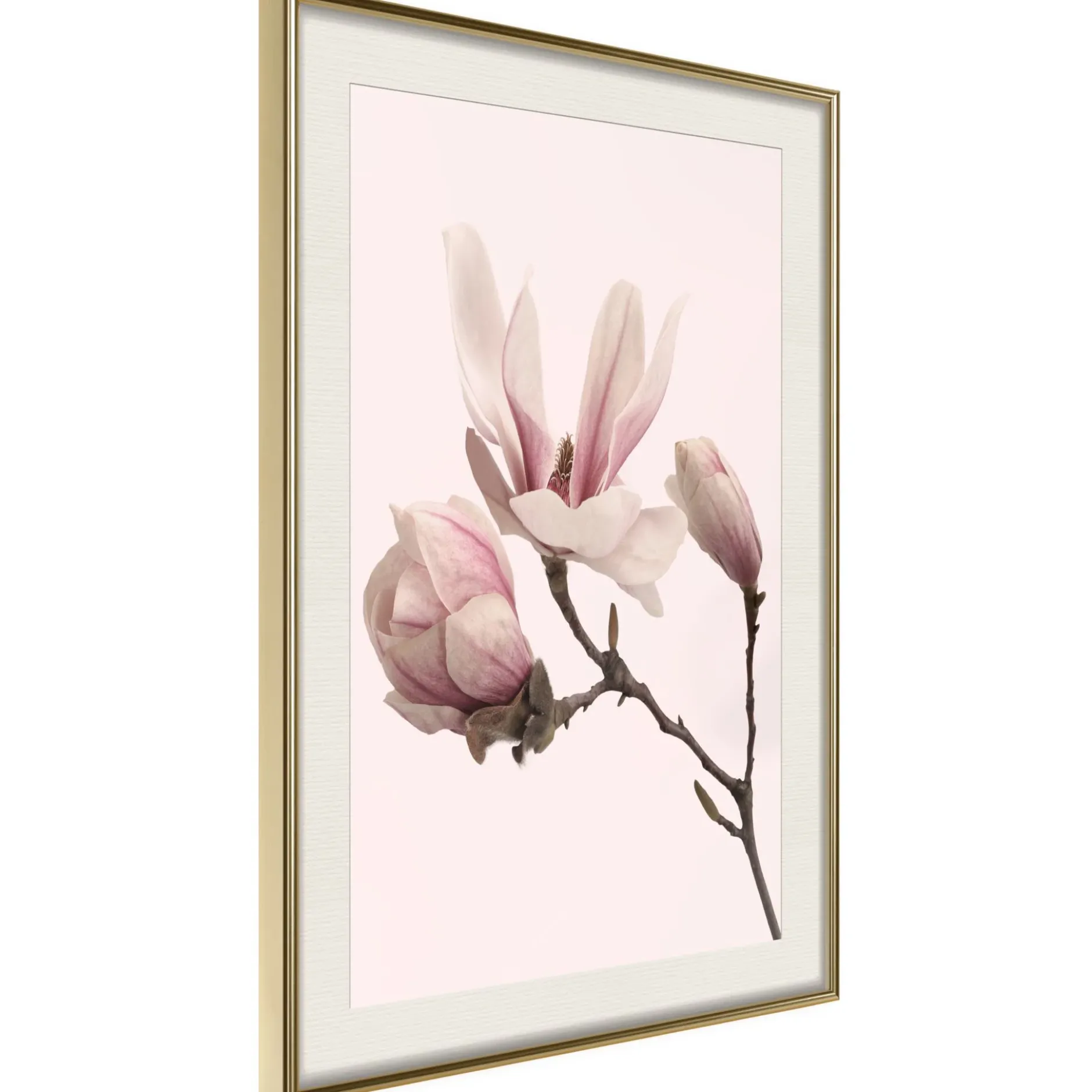 Poster 'Blooming Magnolias II'