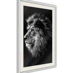 Poster 'Blue-eyed Lion'
