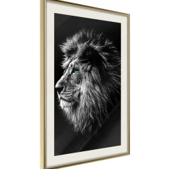 Poster 'Blue-eyed Lion'