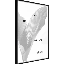 Poster 'Calathea Leaves'