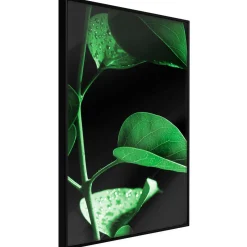 Poster 'Calm After the Storm'