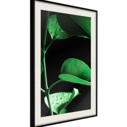 Poster 'Calm After the Storm'
