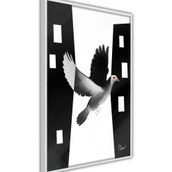 Poster 'Caught in Flight'