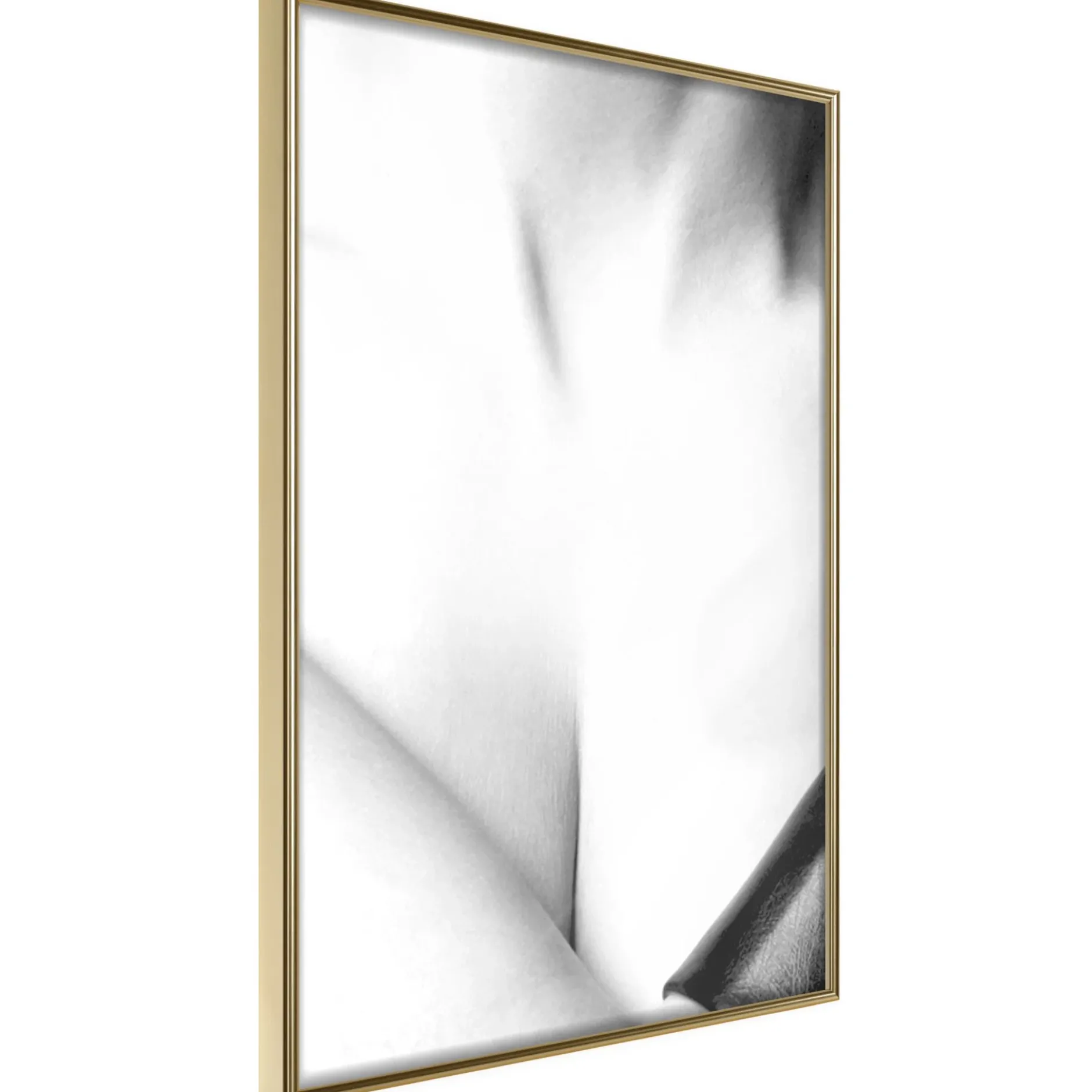 Poster 'Charm'