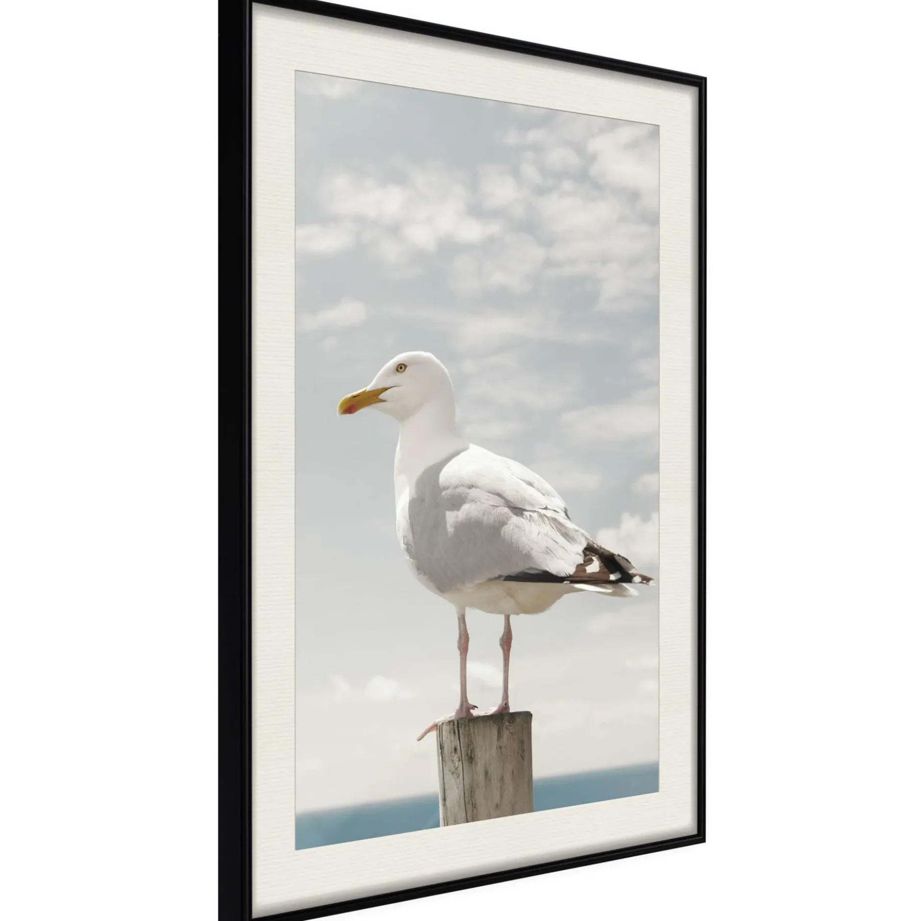 Poster 'Curious Seagull'