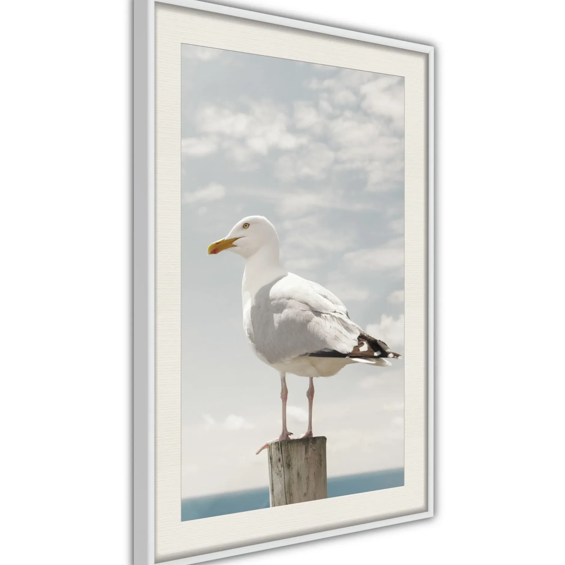 Poster 'Curious Seagull'