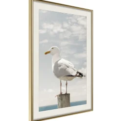 Poster 'Curious Seagull'