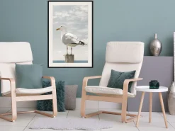 Poster 'Curious Seagull'
