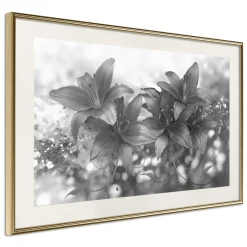 Poster 'Dark Lillies'