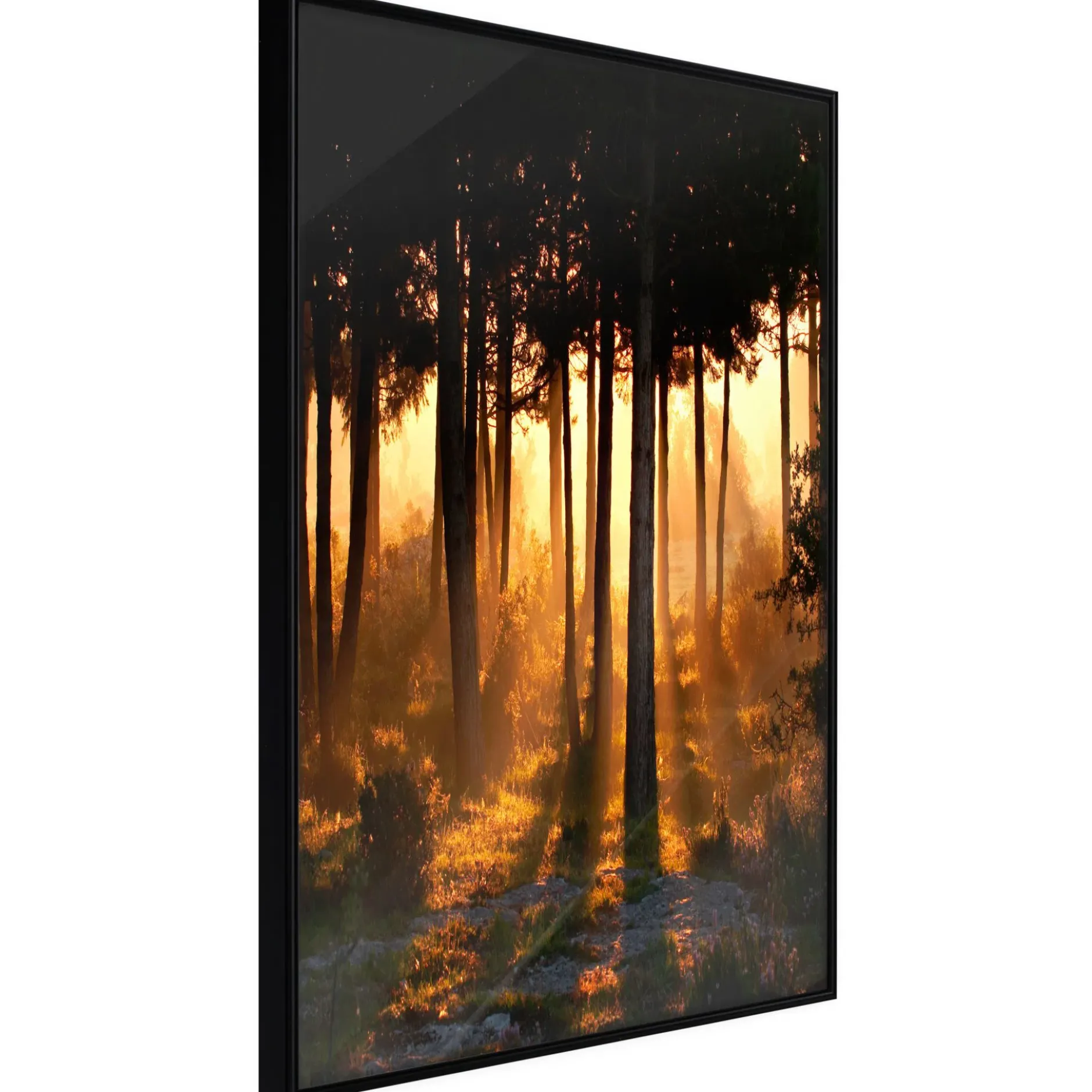 Poster 'Dark Tree Tops'