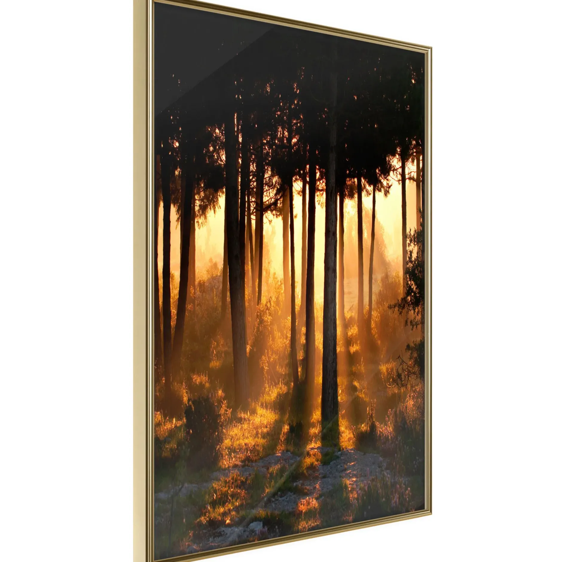 Poster 'Dark Tree Tops'