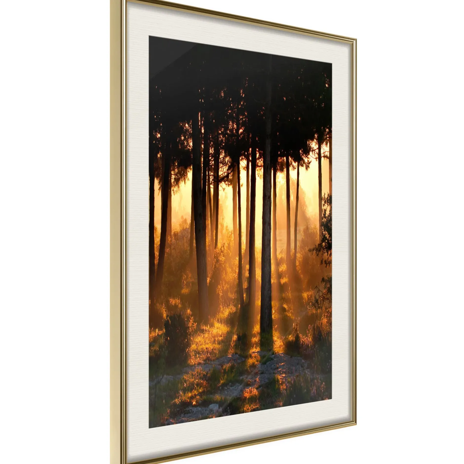 Poster 'Dark Tree Tops'