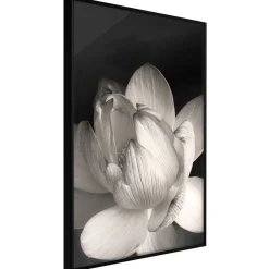 Poster 'Delicacy of a Flower'