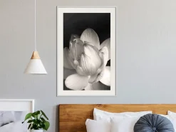 Poster 'Delicacy of a Flower'
