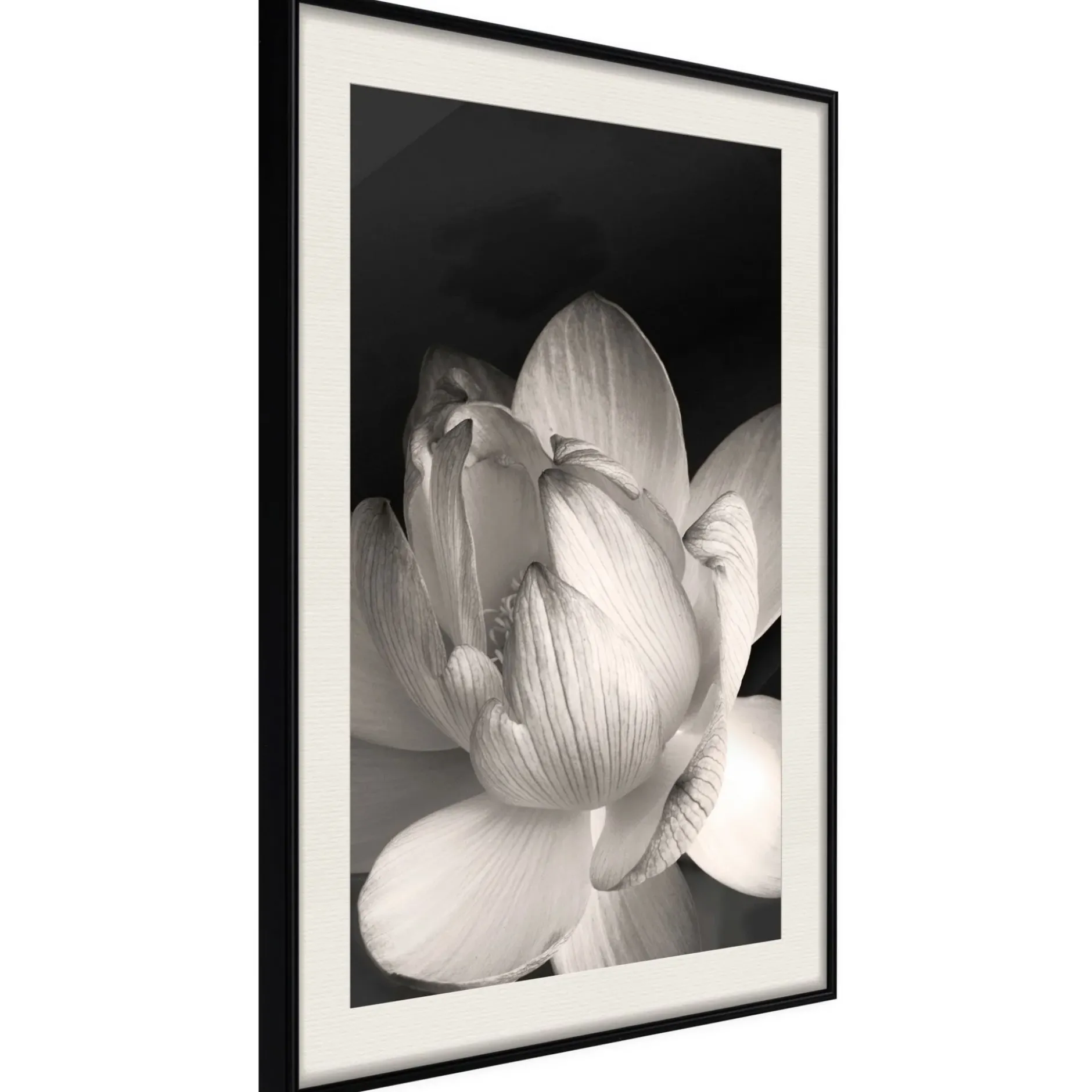 Poster 'Delicacy of a Flower'