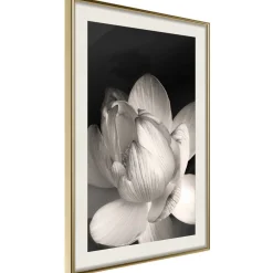 Poster 'Delicacy of a Flower'