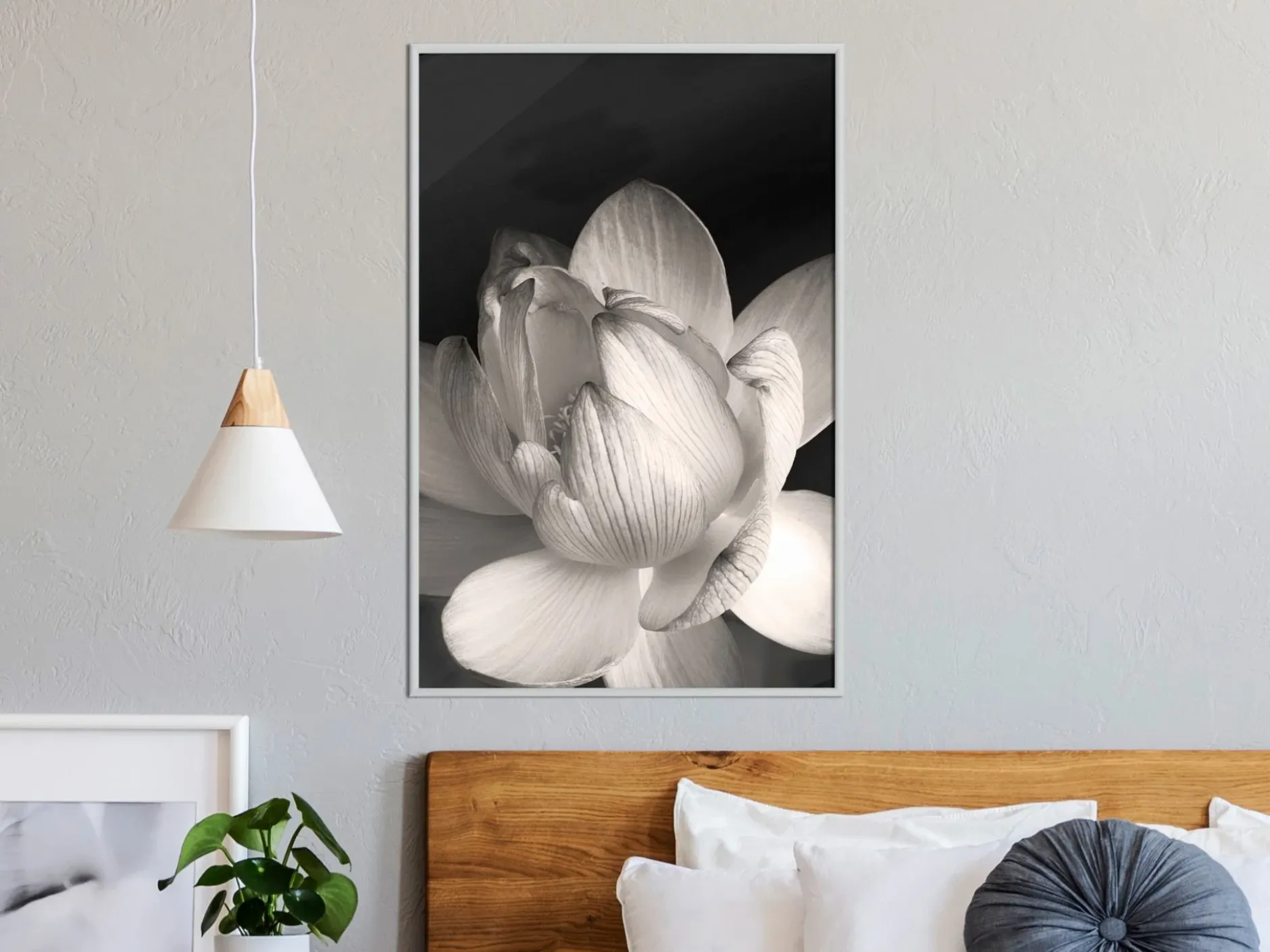 Poster 'Delicacy of a Flower'