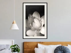 Poster 'Delicacy of a Flower'