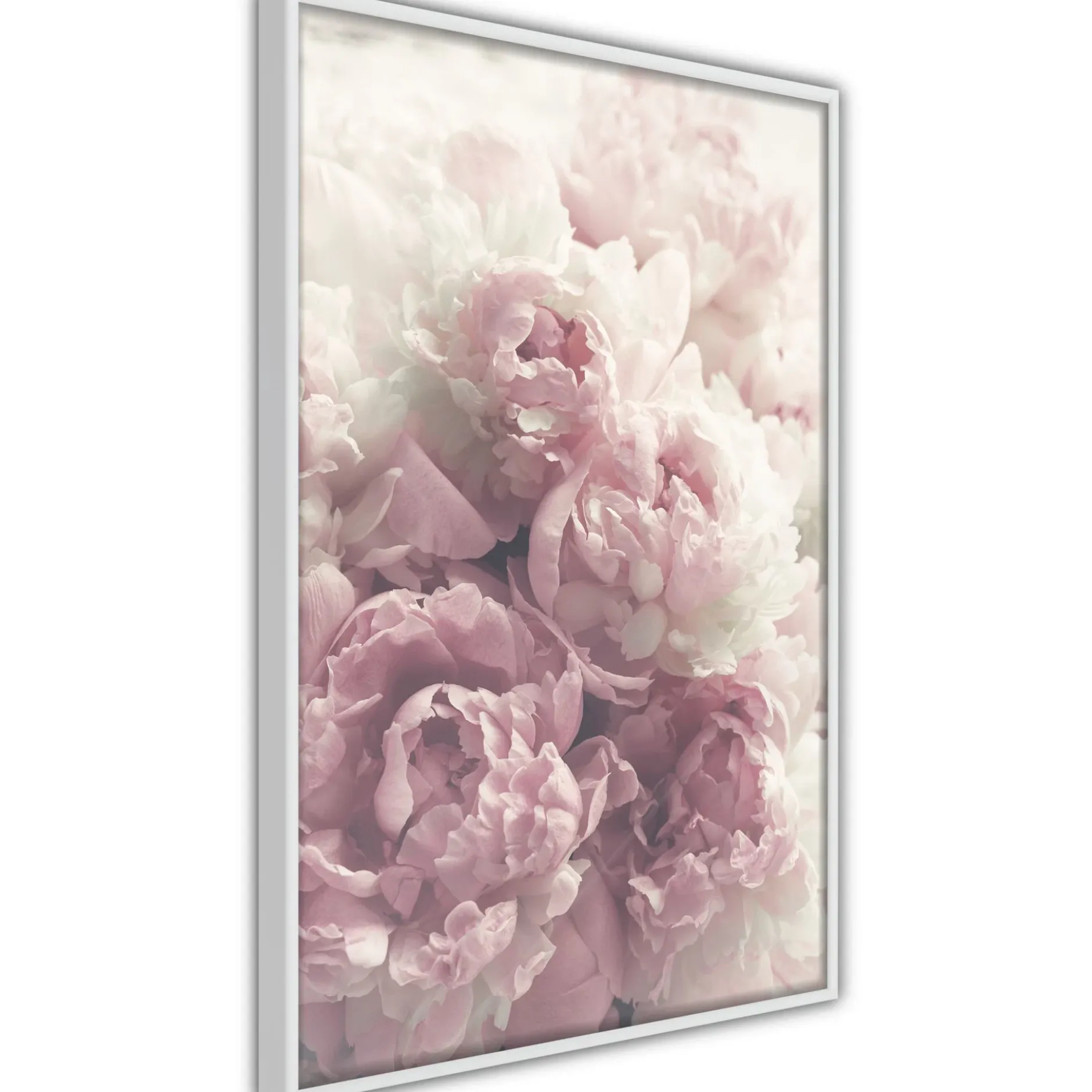 Poster 'Delicate Peonies'