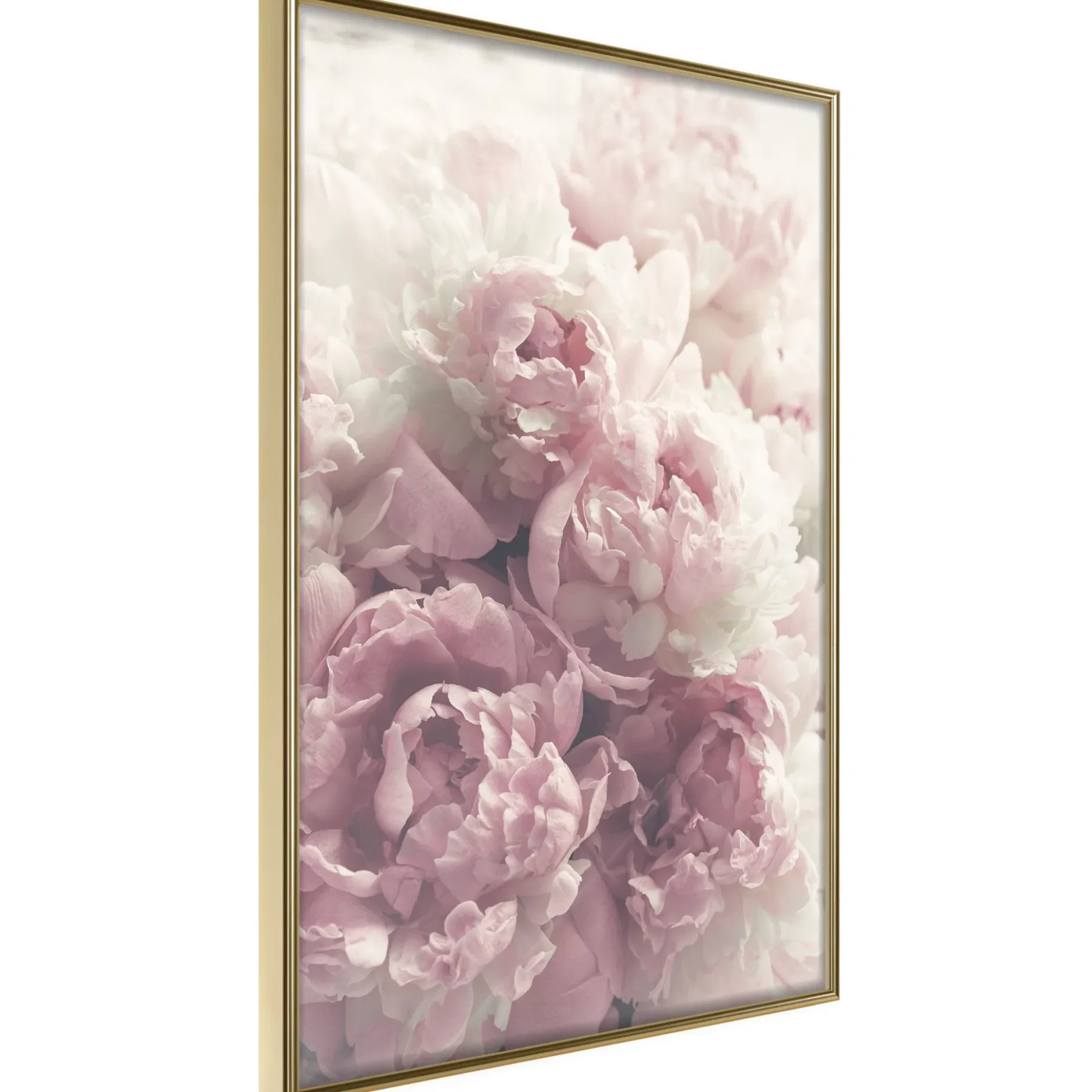 Poster 'Delicate Peonies'